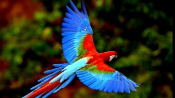 vous avez apprécié les précédents jeux de mots,en voici d'autres envoyées d'une amie