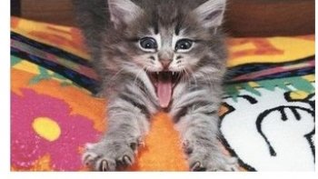 Quelques devinettes pour sourire 