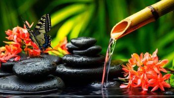 « Naturellement, la vie peut être cruelle. Mais elle est belle ».