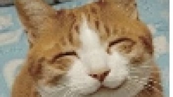 avec eux pas de   soucis  il y aura toujours des sourires