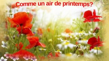"Un souffle léger, comme une promesse...
Le printemps s'invite, discret troubadour,
et dépose sur nos âmes quelques notes 
  de douceur...
 