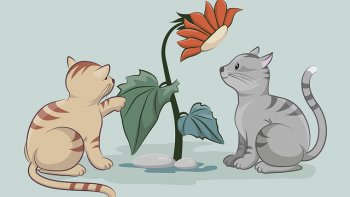 Les chatons sont si mignons en général, 
que j'ai trouvé que cette musique pouvait leur être dédiée ...
Petites notes, petites gueules, un régal, un bonheur.... ( Je l'espère ! )