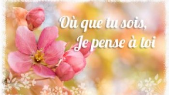 Chaque année, j'écris un petit texte pour ma mère, bien que je la fête tous les jours. Le temps passe, reste les souvenirs heureux, la tendresse et le manque.