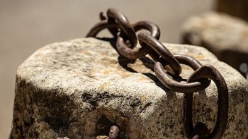 Oui Ils/Elles sont pour nous Essentiel(le)s...