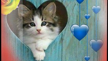 Un réalisme doux et vaporeux...