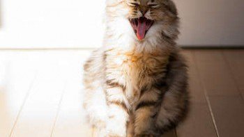 BONNE JOURNÉE À TOUT LE MONDE .
 2 blagues  pour  debuter  dans la bonne humeur !