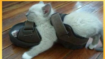 Finie  la crise du logement!