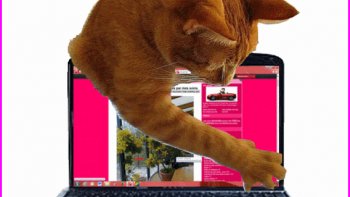 L'année s'achève...De cette année Passée,
quelques bons sentiments,  
Parmi ressentiments
L'ont jalonnée
gardent encore la place,
menacée et lasse 
par trop d'évènements.......