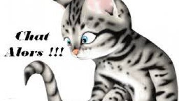 Sa passion pour les chats les sublime avec des tableaux superbes, on l'appelle
le PEINTRE DES CHATS.