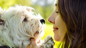 Les animaux savent reconnaître ceux qui les aiment....