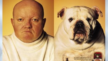 Trouver un chien à son image? c'est possible!
On entend dire,qu'un chien ressemble à son maître.....c'est possible...dans ces images en tous cas...