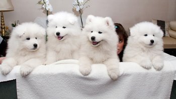 5..4..3..2..1..0,,,,,

ÇA Y EST ,,,NOUS SOMMES    EN L'AN  2020