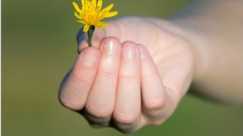Courtes, mais drôles  !