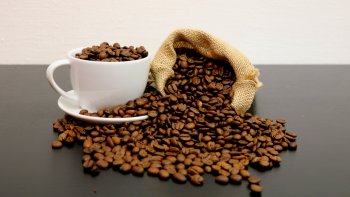 Le Cafeto : Café 100% artisanal. Récolte, broyage et transformation traditionnelle ! Sur l'île de Gran Canaria se trouve la vallée d'#Agaete,  dont la latitude, la météo et surtout les pluies abondantes ont rendu possible l'une des cultures traditionnelles de l'île: Le " CAFETO ".  En 1999 MARIA à pu rassembler tout le processus traditionnel de fabrication de ce produit, de la récolte, du séchage, de la torréfaction et du broyage à la dégustation d'une bonne tasse de # Café. !