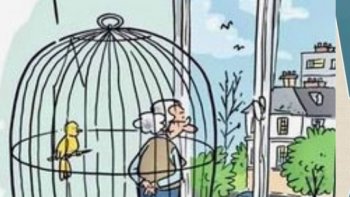 Quelques images sont peut-être déja parues....dans la foulée.....