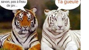 A propos de tout et de rien......