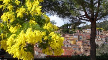 Le village de Bormes est accroché à flanc de colline sous les ruines de l'ancien château.
Au mois de février, les mimosas exhalent leur parfum et en été les bougainvilliers illuminent les murs de pierre.