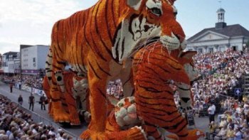 Le Pays-Bas, pays des tulipes, des moulins, des vélos et... des Corso Fleuri ! c'est à JANSKLOOSTER et à ZUNDERT, qui à lieu cette grande parade et mise en scène des sculptures géantes impressionnantes, faite de fleurs de dahlia, montées sur des chars mobiles rendent hommage au peintre VINCENT VAN GOGH. le défilé de chars qui se déroulent dans les rues, c'est une festivité culturelle en plein air. Tous ses fleurs sont cultivées dans la région.