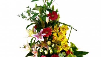 Notre ordissinaute monique vous souhaite une bonne fête de la toussaint !