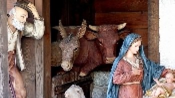 Michel Cool, né en 1956, dans le département du Nord, est un journaliste de presse écrite, de radio, de télé, Spécialisé dans les affaires religieuses. Rédacteur en chef d'hebdomadaires, et d'émissions du dimanche...prix de littérature  religieuse par son livre :"conversion au silence. Son premier roman publié en 1923:
"L'Échappée belle du Pape,chez Quazar..........etc.BON NOÊL à vous ordissinautes, seules  ou en famille......Oderay .( Renseignement Wikipédia.)
, 