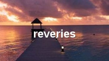 ALLÔ !  DOCTEUR ? est-ce grave ? j'ai rêvé un texte au masculin...