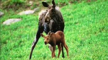 D'AUTRES IMAGES   qui donnent envie  d'y aller ....