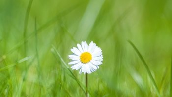 Oderay nous partage ce joli texte ...