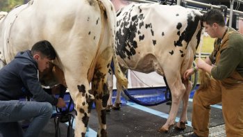 "Sans bétail' on ne fait rien qui vaille, on n'a ni grain, ni foin, ni paille....
  nos bons produits du terroir....