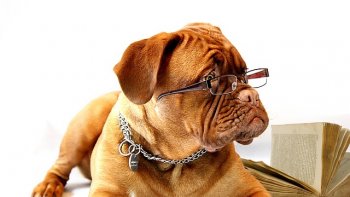  Chers abonnés,  notre journal a subi  des censures...Il ne reste par erreur, que des nouvelles souriantes.......Rassurez-vous, la TV n'est jamais à court de réalités.......