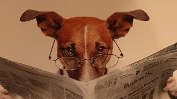 J'ai hâte de voir ça !