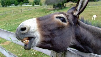 Une histoire vécue, et inoubliable......