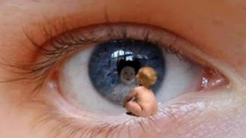 Une petite évasion fantastique...