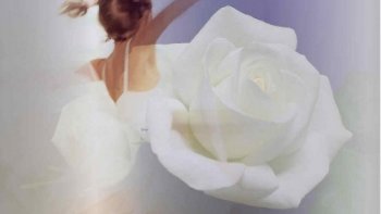 De la douceur,  rien  que  de  la  douceur!......Dans ce monde  de  brutes.....