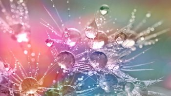 Mis en vers, d’après un texte : la chanson d'Ève
Oderay