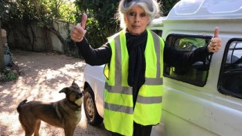 Brigitte Bardot regrette qu'aucune des trente propositions avancé par le gouvernement ne  concerne la condition animale (c'est une insulte,un mépris insupportable pour ce combat que je mène depuis quarante sept ans regrette-t'elle-encore) .
