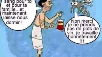 Détendez vous avec ces images humoristiques présenté par notre ami lucciolo !