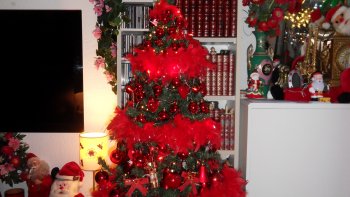 cette histoire m'est venue en voyant un petit sapin dans la rue...