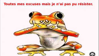 Comme moi vous serez sans doute étonnés par la 1ere partie, amusés par la seconde... bonne journée...