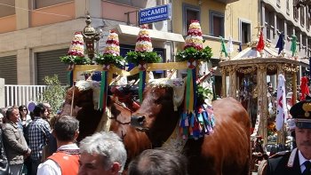 C'est une fête sainte SARDE, à lieu pendant 4 jours à CAGLIARI (Sardaigne) , au premier Mai, lors de cette fête traditionnelle, la statue du saint Efisio est promenée dans les rue de la ville. devancé par le défilé  traditionnel costumé,  Ce Saint Efisio, martyre, est le protecteur de la ville depuis 1656, où il aurait sauvé Cagliari de la PESTE NOIR.