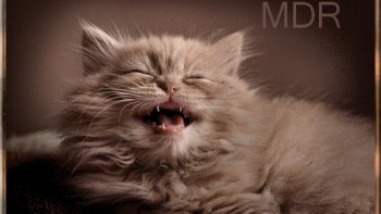 parfois il ne faut pas se precipiter .....et reflechir ...mais !!!

qui perd Gagne...pas toujours 