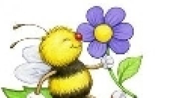 QUELQUES IMAGES  pour expliquer le mode de vie des ces infatigables ouvrières 
qu'il faut respecter car elle  nous offre  un remède polyvalent ''le miel '' 