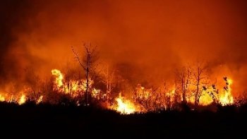 une pensée,  pour ceux qui ont perdu leur maison...et pour les pauvres hôtes  des  forêts....