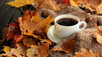 Avec les glands de chêne vous pouvez facilement vous préparer un " CAFÉ de GLANDS " 100 % local qui rappelle beaucoup le goût du café. Sans caféine il convient aussi aux cœurs sensibles. La vidéo vous montre comment s'y prendre pour préparer ce café de glands.  ------ Et ensuite c'est Karolina Protsenko & Daniele Vitale Sax qui vous interprète en musique " VIVA LA VIDA "  (Vivre la vie). !