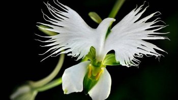 Chacun sa route ,  chacun son destin,
nous en  sommes les artisans, mon histoire est banale;
  c'est ma vie, je l'aime bien et si je devais
recommencer... (idem en mieux)...
 