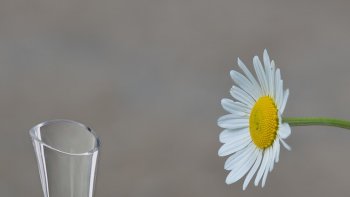 La sexualité vue par les ados : accrochez-vous c’est du lourd
!
 