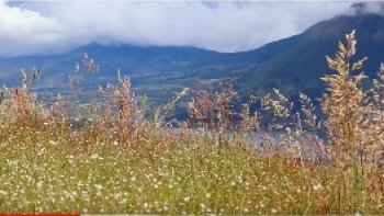 La flûte  de Pan, instrument de musique à vent, (air dans  tuyaux sonores assemblés,) roseaux,bambous...en Asie, Amérique, Afrique, Océanie.En poésie : "Syrinx "
"Tâche donc, instrument des fuites malignes Syrinx, de refleurir  aux lacs, où tu m'attends"