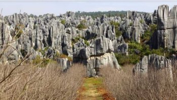 Après le Canada  ,,d'autres paysages étonnants  en ASIE...

La Forêt de Pierre est une des merveilles du patrimoine naturel du Yunnan, située à 120km de Kunming. Elle consiste en un ensemble de roches karstiques en calcaire gris. Ces formations rocheuses se caractérisent par une concentration de roches peu élevées aux formes fantastiques auxquelles les chinois y attribuent toutes sortes de superstitions et légendes. Le parc de la forêt de pierre compte 80 hectares au sein d’un ensemble géologique de 26 000 hectares comprenant hôtels, restaurants et magasins. Le parc abrite également un village de la minorité Sani (tibéto-birman).
