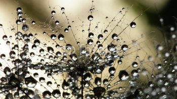 (Toute ressemblance… est pure coïncidence…)