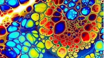 des citations parsèment  ces  fractales, comme autant de sourires  dans  une  vie  brisée, ou morcelée, ou inquiète.