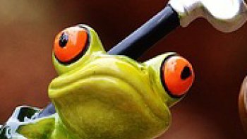 1/  Pas facile    de suivre cette fichue petite "balle "" 
2 voyage à TANGER
3/  faut pas rever !!!!